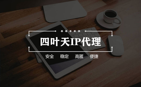 【天门代理IP】如何快速搭建代理IP？怎么检查代理的效果？